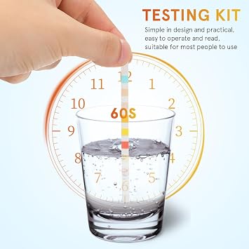 Healvian 10-in-1 Ketone Testing Strip Kit for Home Use