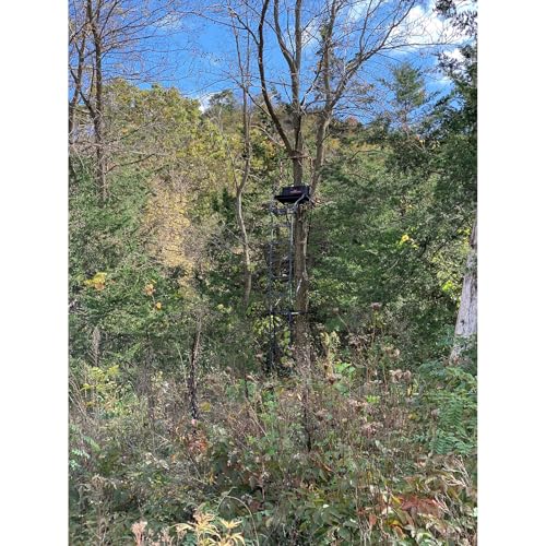 Image of Big Game Warrior Elite Ultra-Wide Ladder Whitetail Deer Elk Mule Above