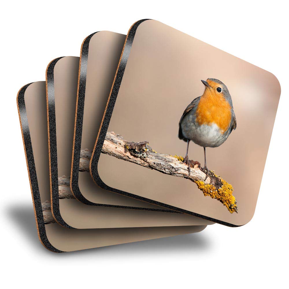 Destination Vinyl Ltd Multicolor Great Coasters (Set Of 4) Square - Red Robin Bird Garden Cute Drink Glossy Coasters/Tabletop Protection For Any Table Type #2062