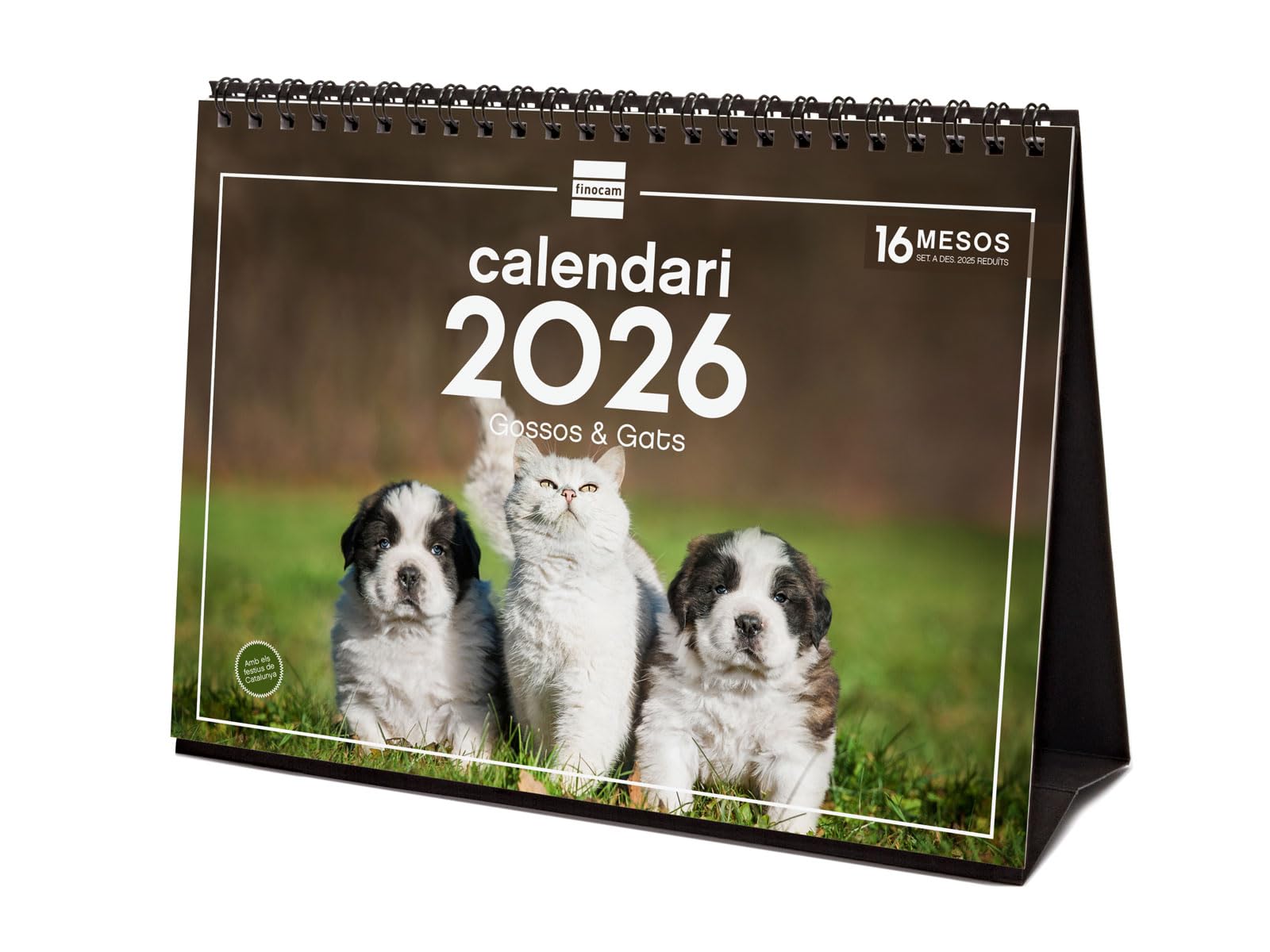 Finocam - Desktop Calendar 2026 Month View January - December 2026 + Sep.- Dec. 2025 (4 months) reduced | Calendar 2026 | Pictures Dogs and cats - Catalan