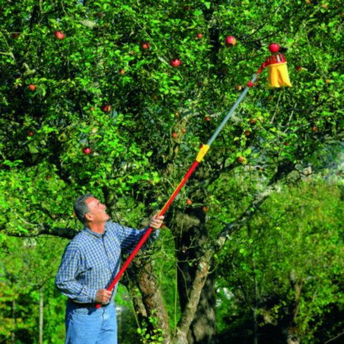 Image of WOLF-Garten Fruit Picker with cutting blade and soft cloth catching-bag RGM