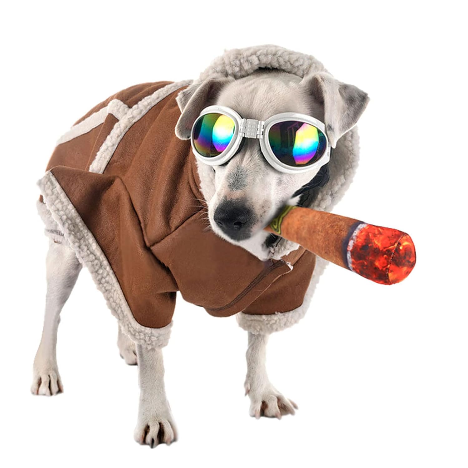 Squeaky Dog Toys, Funny Dog Toys Stuffed Plush Dog Toy, Cute Dog Birthday Gift Dog Chew Toys Pet Toys for Small Medium and Large Dogs(Cigar) Dogs Arhandeals | Online Shopping Marketing 11 Squeaky Dog Toys, Funny Dog Toys Stuffed Plush Dog Toy, Cute Dog Birthday Gift Dog Chew Toys Pet Toys for Small Medium and Large Dogs(Cigar) Dogs 11