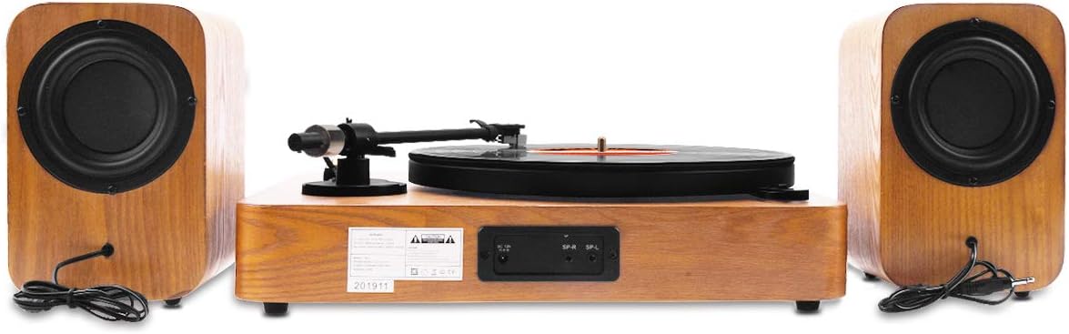 Bag view of the turntable showing speaker connections