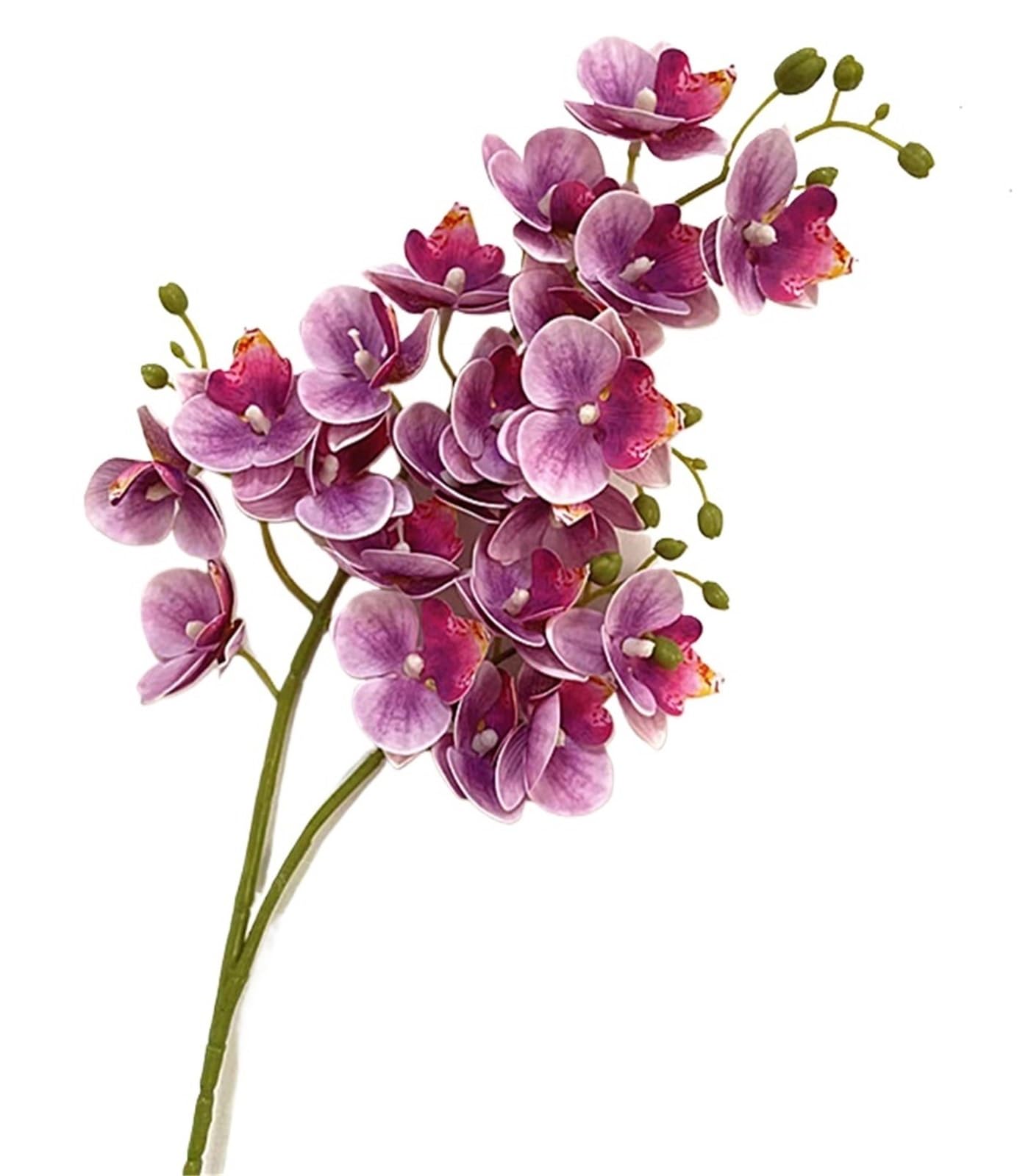 GMGQJST Artificial Orchid One Latex Butterfly Orchid Flowers