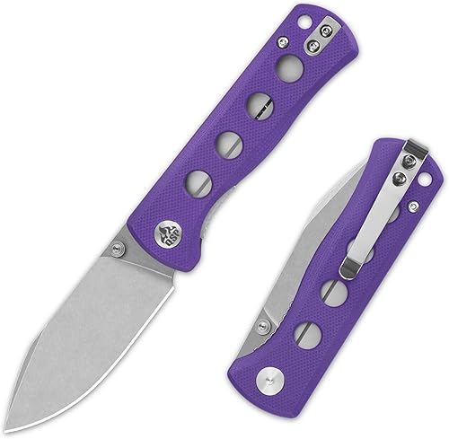 QSP CUCHILLO CANARIO CARPETA CUCHILLO DE BOLSILLO, HOJA AGUJADA 14C28N CON MANILLAS G-10 DE COLORES (hoja lavado a la piedra, mango G-10 púrpura)