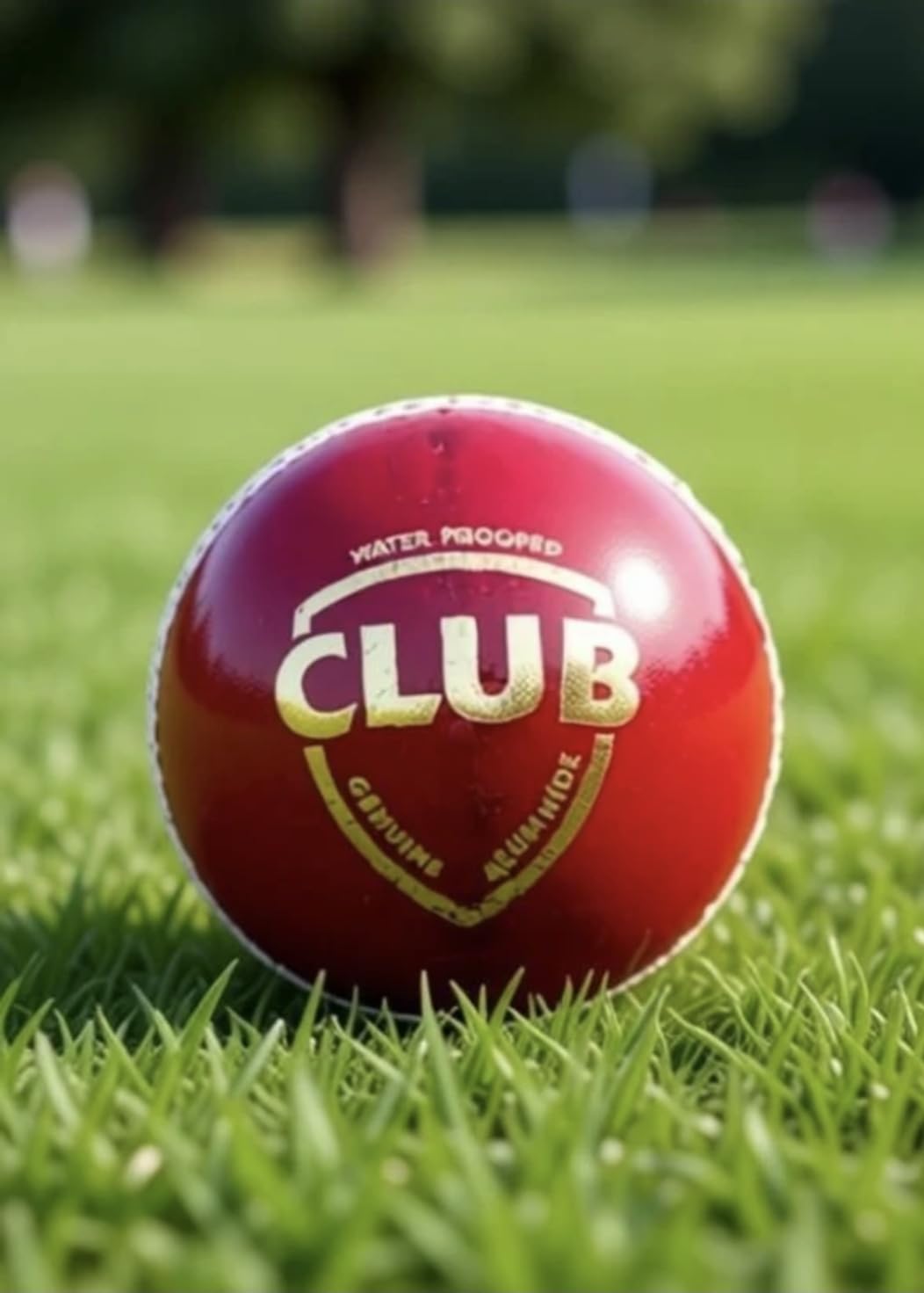 Club Cricket Ball, Red, Water Proofed, Genuine Alum Hide Leather-image-41