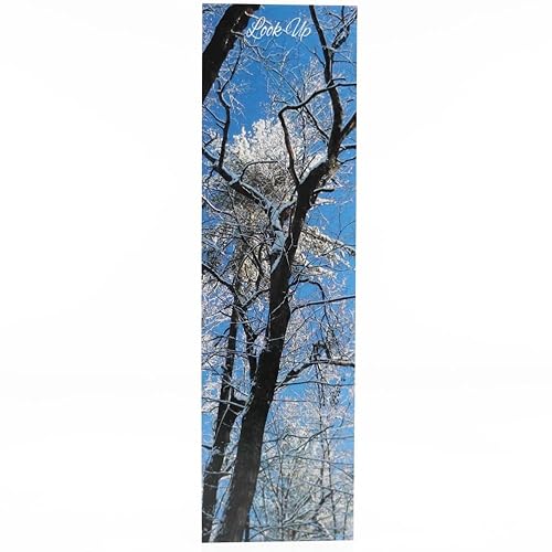 Winter Trees Bookmark, New England Original Photography
