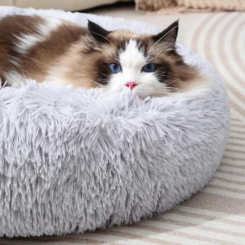 Zhoothyomiru Dog Bed Cat Bed Sofa Doughnut Kennel Warm Plush Round Pet Bed for Puppies, Kittens, Small Pets Up to 3Kg - Image 3