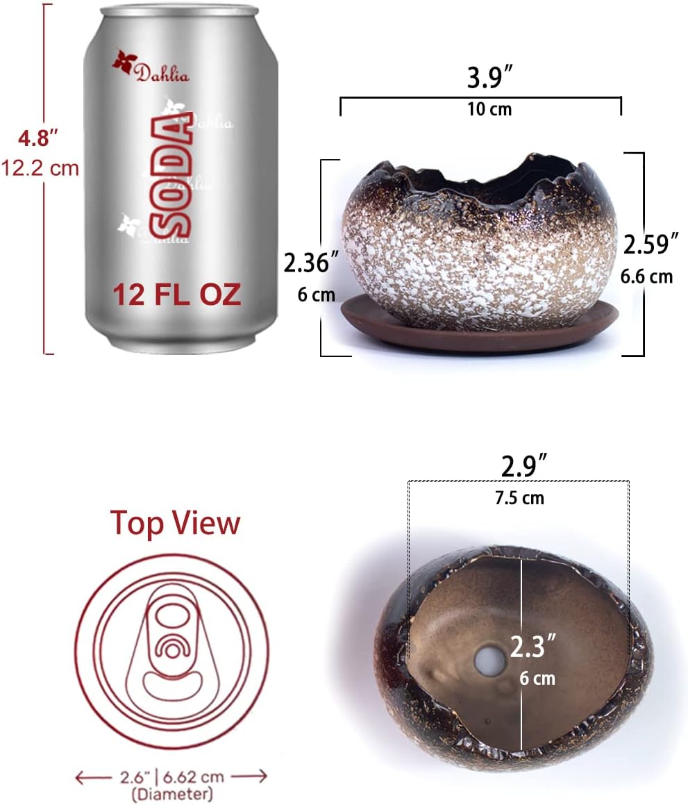 Dahlia Vintage Speckle Ceramic Succulent Planter/Plant Pot/Flower Pot/Bonsai Pot, Set of 2