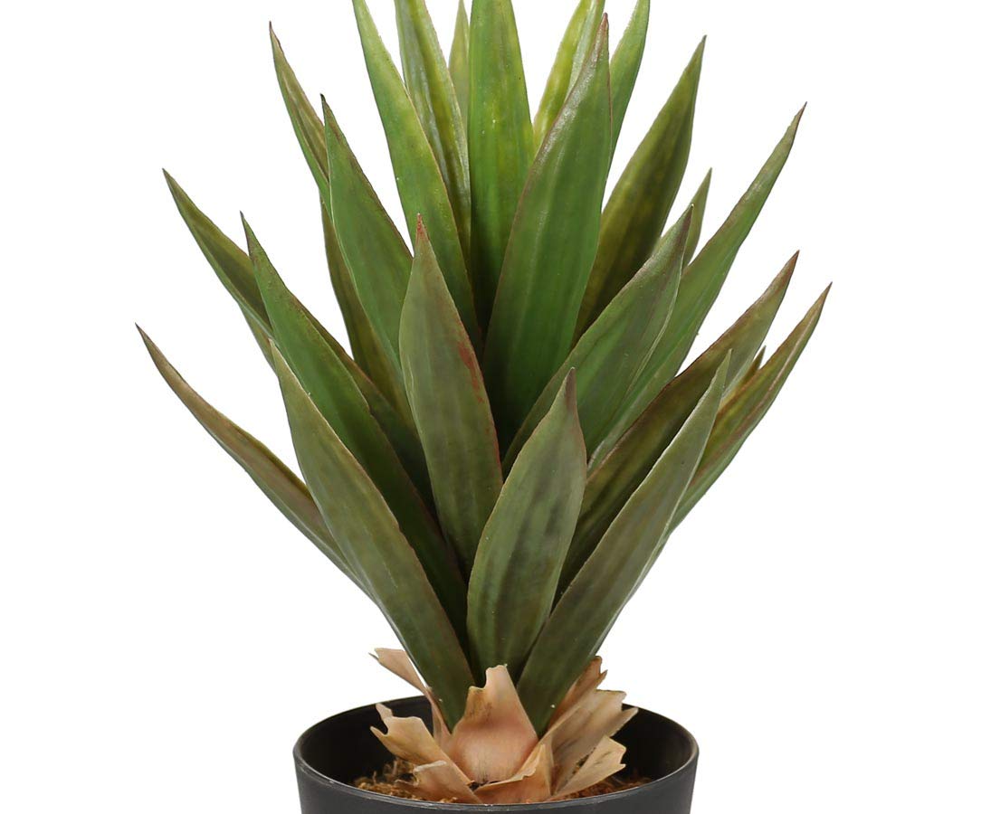 kunstpflanzen-discount.com Aloe Vera Leaves 50cm (20