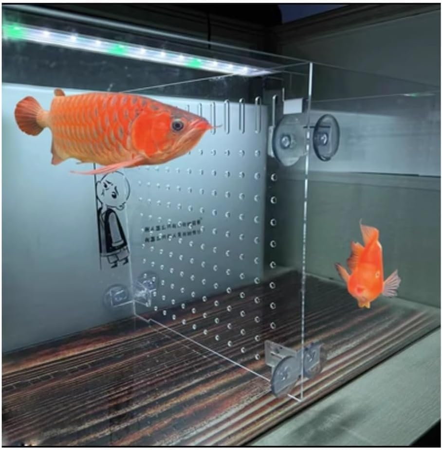 Separador acrílico para peceras, tablero de aislamiento transparente para particionar para evitar peleas de peces y tortugas