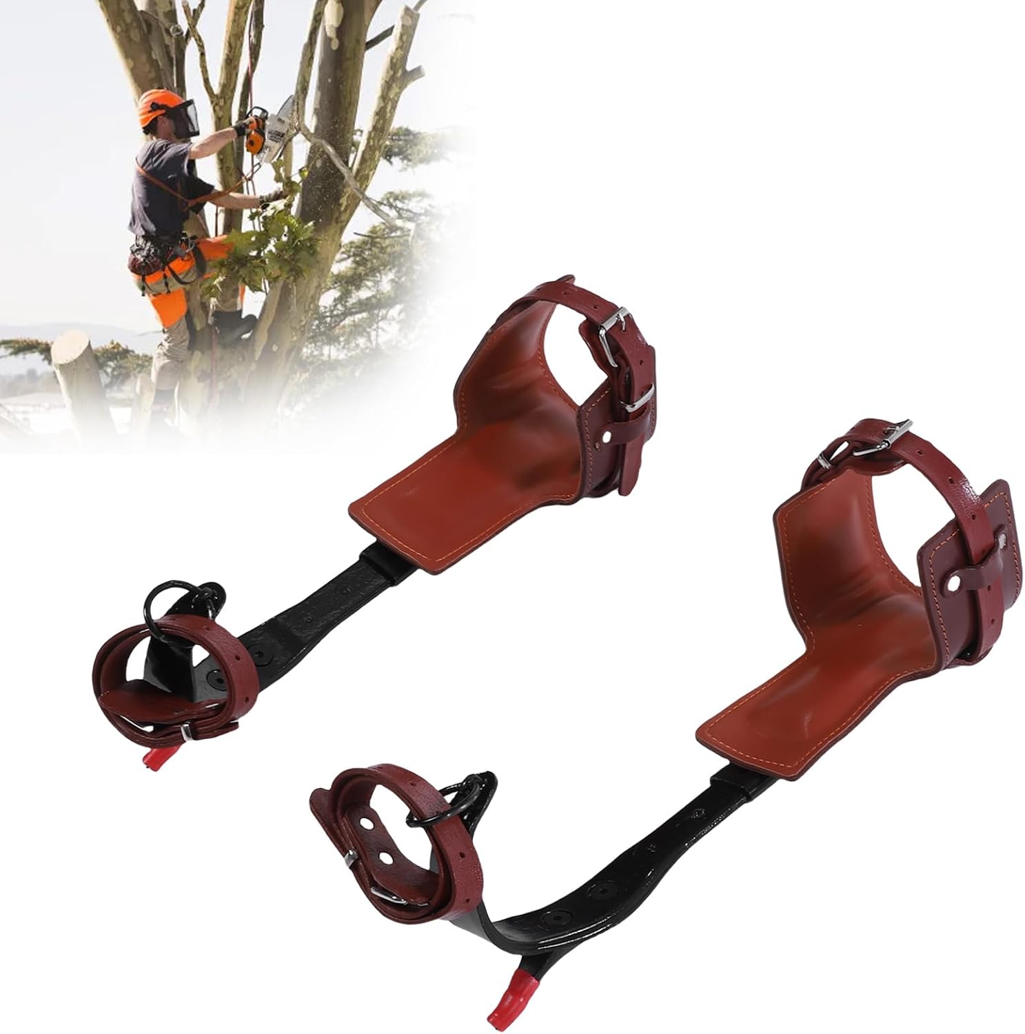 JTLB Tree Climbing Gears Anti Slip Height Adjustable Tree Climbing Spurs with Gloves for Work Trimming Picking Fruit