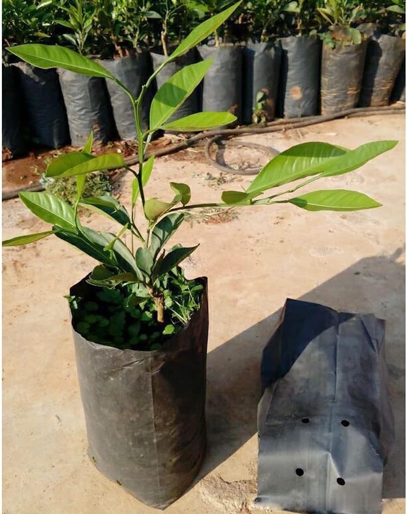 100 Pcs PE Nursery Bags Thicken Plant Grow Bags Seedling Pots Eco-Friendly, for Garden with Breathable Holes Black Planting Bag (Size : 10x30cm(DxH))