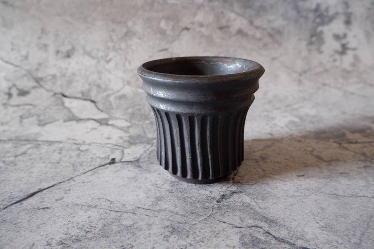 山下太 作家鉢 植木鉢 塊根植物 オペルクリカリア パキプス アガベ