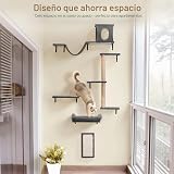 Ver la foto 4