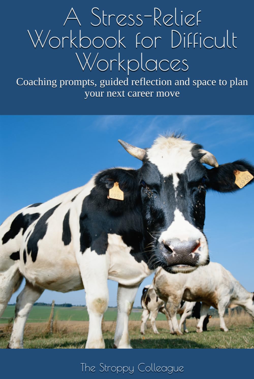 A Stress-Relief Workbook for Difficult Workplaces: Coaching prompts, guided reflection and space to plan your next career move