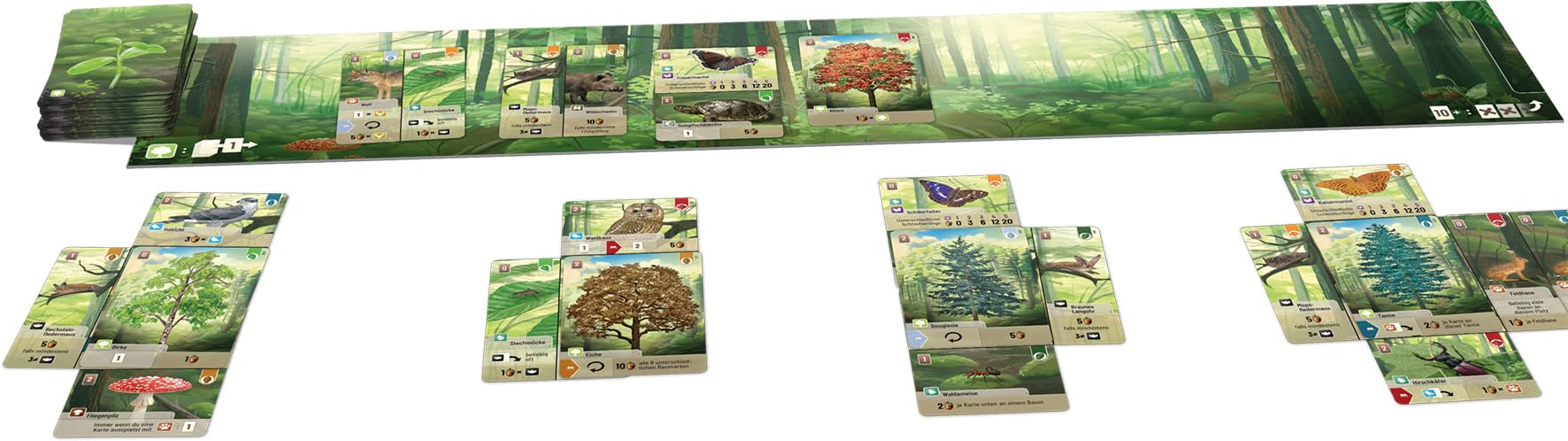 Asmodee - Foret Mixte Jeu de Base - Jeu de Cartes Nature - 60 Min | Adultes Enfants dès 10 Ans - Jeu de Société Tactique - Créer Un Ecosystème - 2 à 4 Joueurs - En Français - Lookout Games