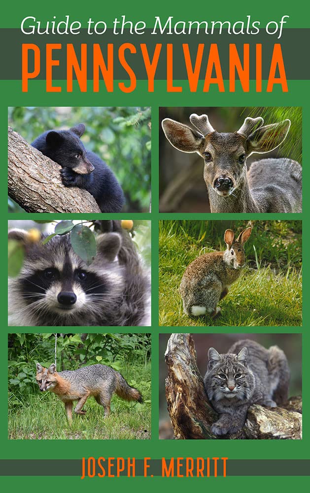 Guide to the Mammals of Pennsylvania (Regional)