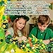 307 Pcs St. Patrick's Day Sensory Bin Filler Irish Shamrock Gold Coin Jar Counting Sorting Sensory Bin Items Fine Motor St. Patrick's Day Counts for Irish Counting Decor