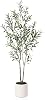 LOMANTO Artificial Olive Trees, 1.5m Long Faux Olive Trees for Indoor, Faux Olive Silk Tree, Large Olive Plants with White Flower Pot for Home Decor and New Home Moving Gift, 1 Pack