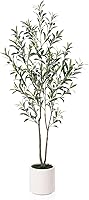 LOMANTO 5ft Artificial Olive Tree with White Planter - Faux Silk Indoor Olive Plant for Living Room, Office Decor & Housewarming Gift