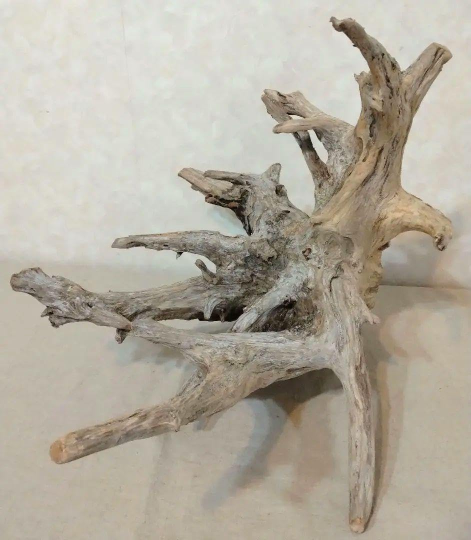 MRW-6098 特大赤系流木 90cm水槽用流木 一点物 アクアリウム