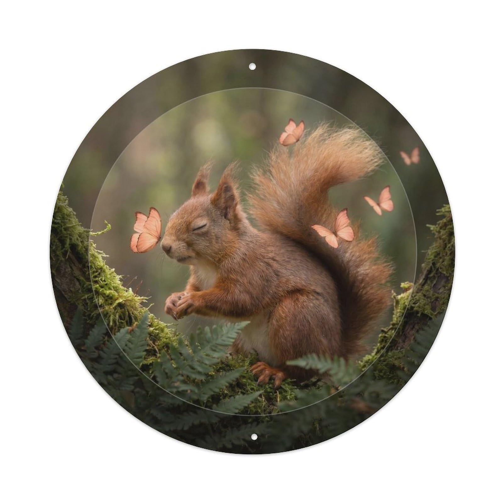 Red Squirrel Warm Peach Butterfly Cute Wildlife Woodland Kawaii Metal Tin Sign Plaque Wall Decor for Cafe, Man Cave, Club Bar, Office, Home Garden Round Metal Poster 8x8Inch