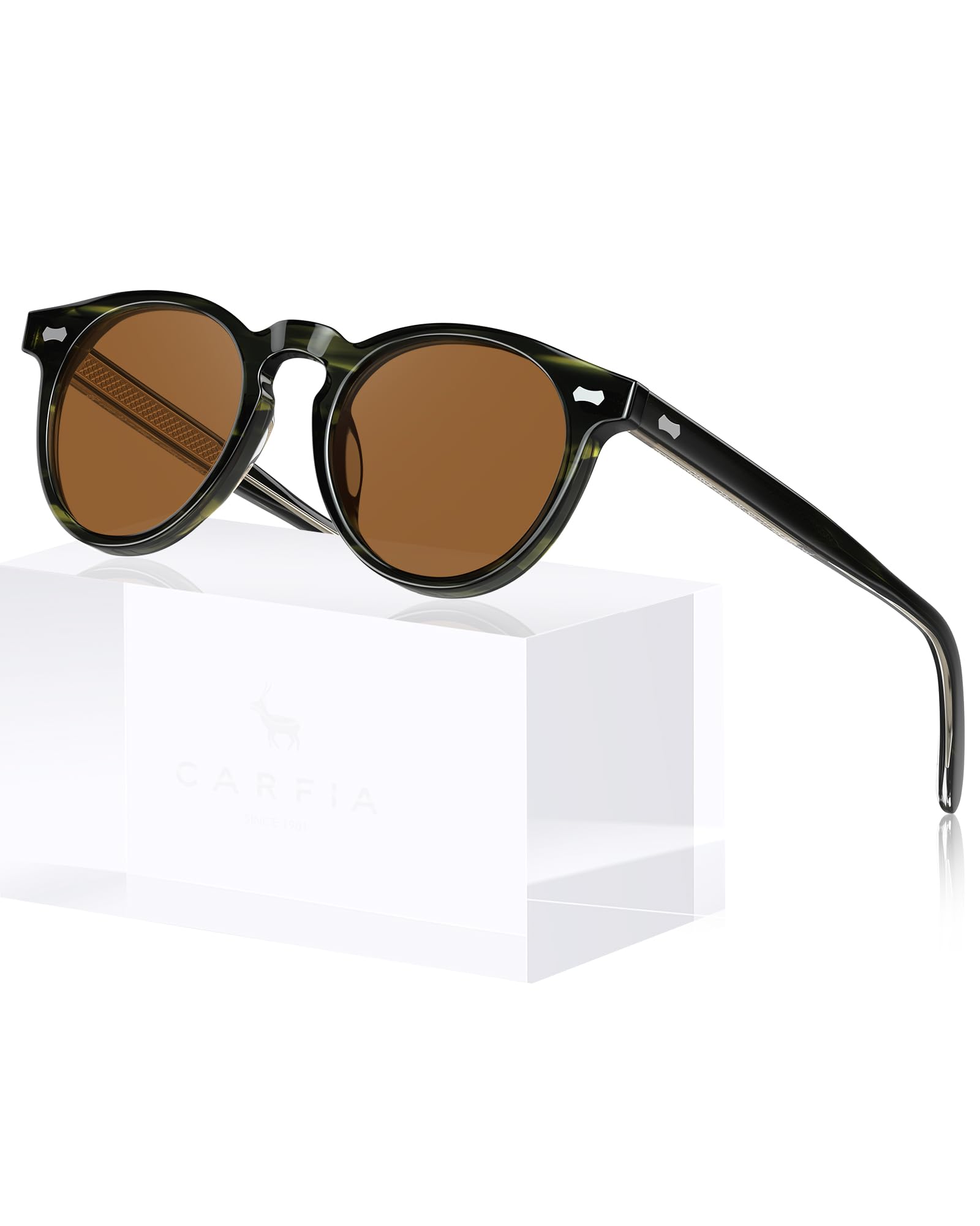 CARFIA Retro Acetate Polarized Sunglasses for Men UV Protection, Vintage Round Frame Eyewear with Gold Filigree CA5506