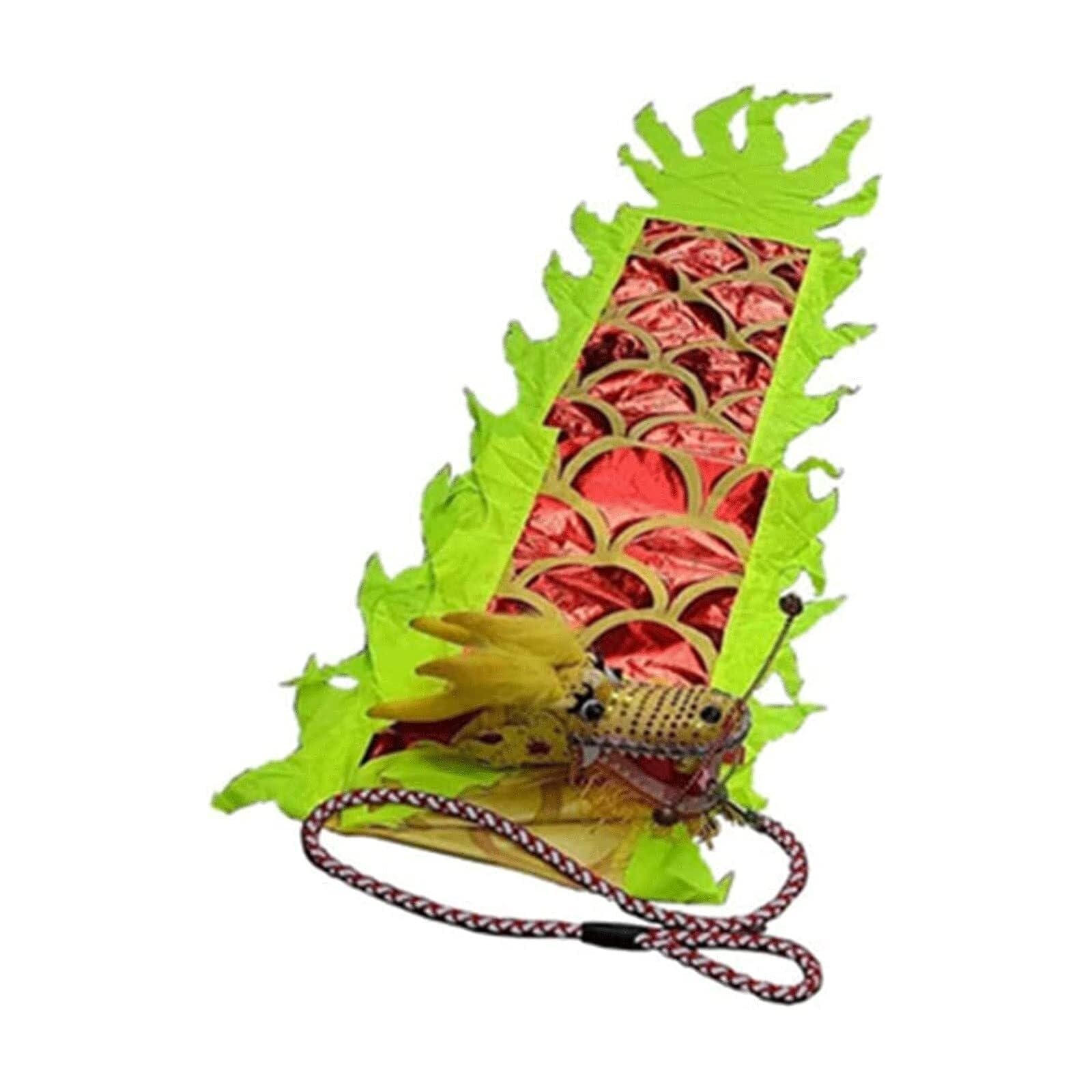Danza del Drago di Seta