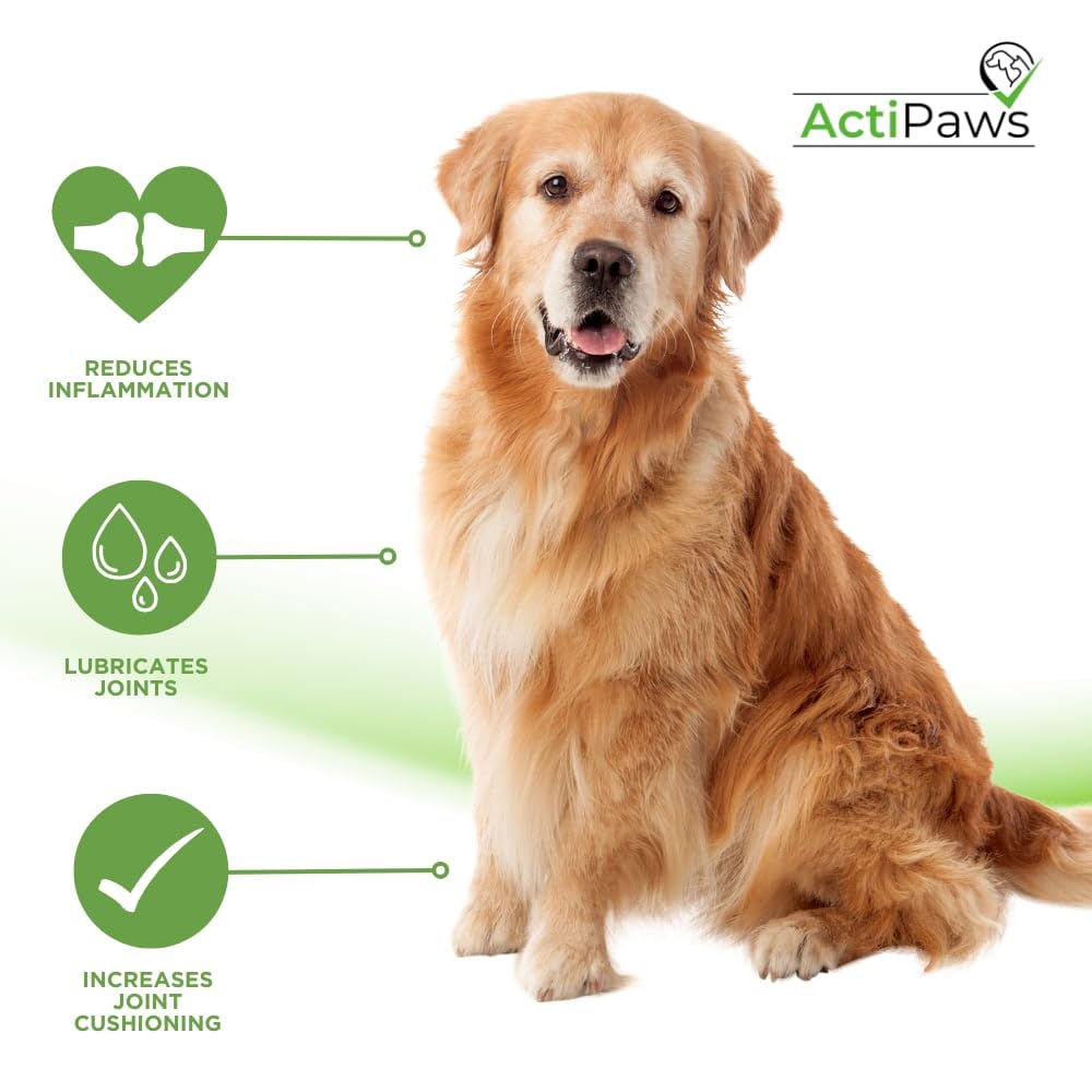 Actipaws Gold - Hip & Joint Supplement for Adult Dogs - with Glucosamine, Chondroitin, Green Lipped Mussel Aged 6 & Up (60 Tablets) - Image 3