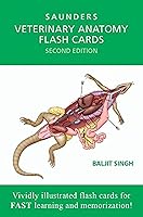 Algopix Similar Product 5 - Veterinary Anatomy Flash Cards