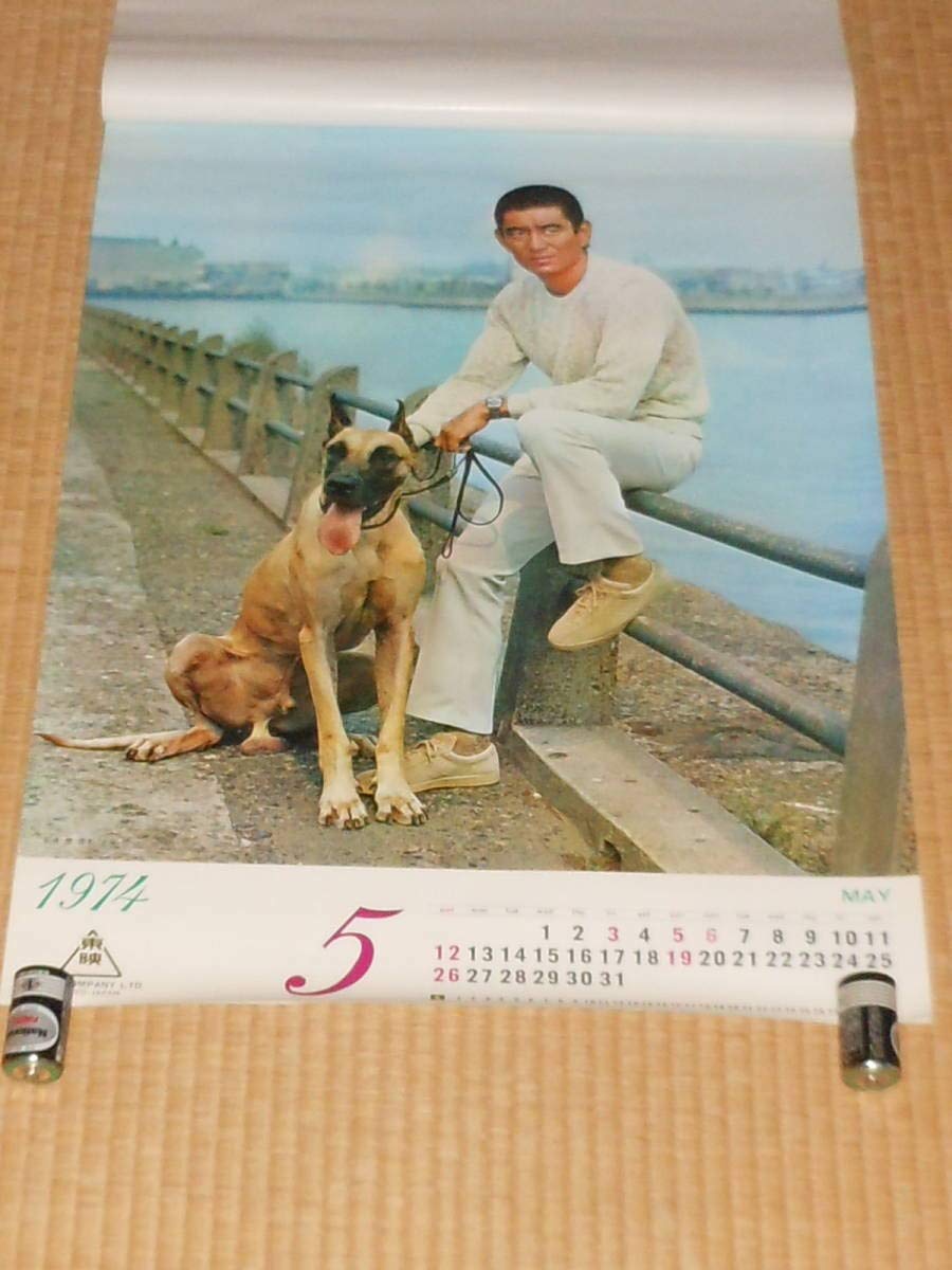 Amazon.co.jp: 高倉健,菅原文太,安藤昇,松方弘樹,梅宮辰夫,千葉真一 