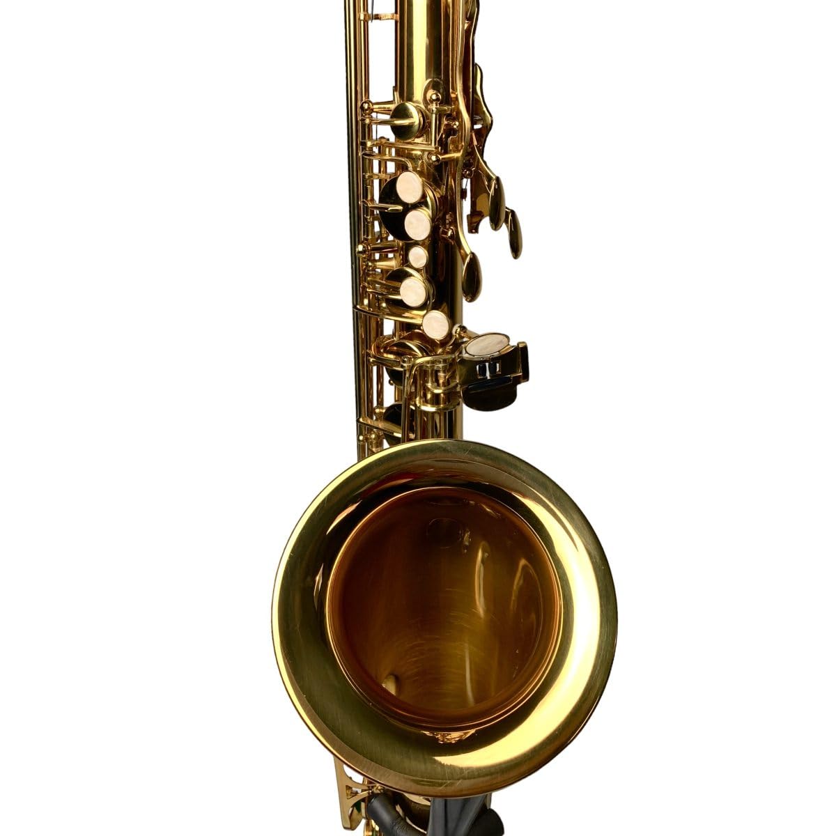 TS-ST Sax Tenore Serie Studio completo di Custodia e Accessori