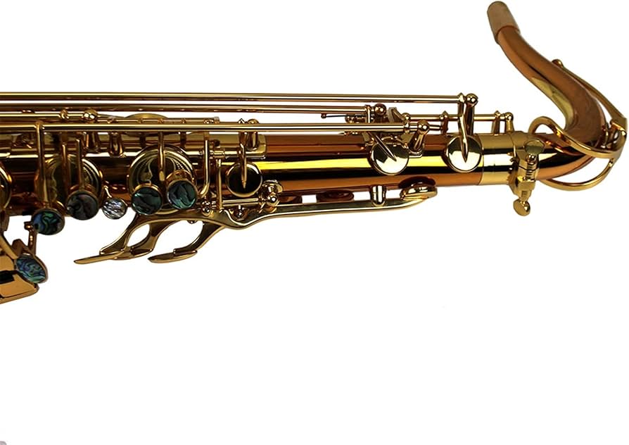 Amazon.co.jp: 学生アルトサックス プロのゴールドカラー蛍光体銅