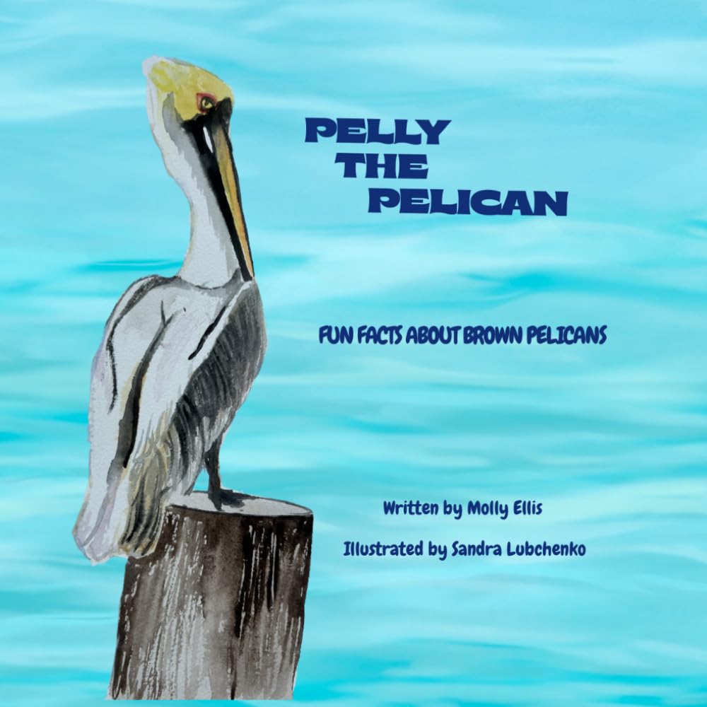 Pelly the Pelican: Fun Facts About Brown Pelicans