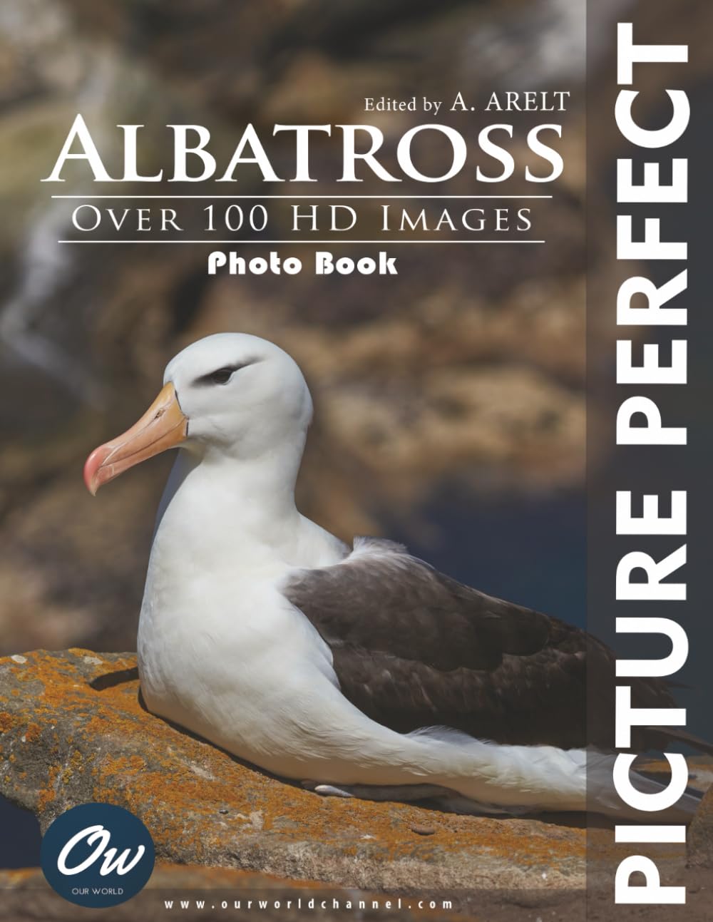 Albatross: Picture Perfect Photo Book