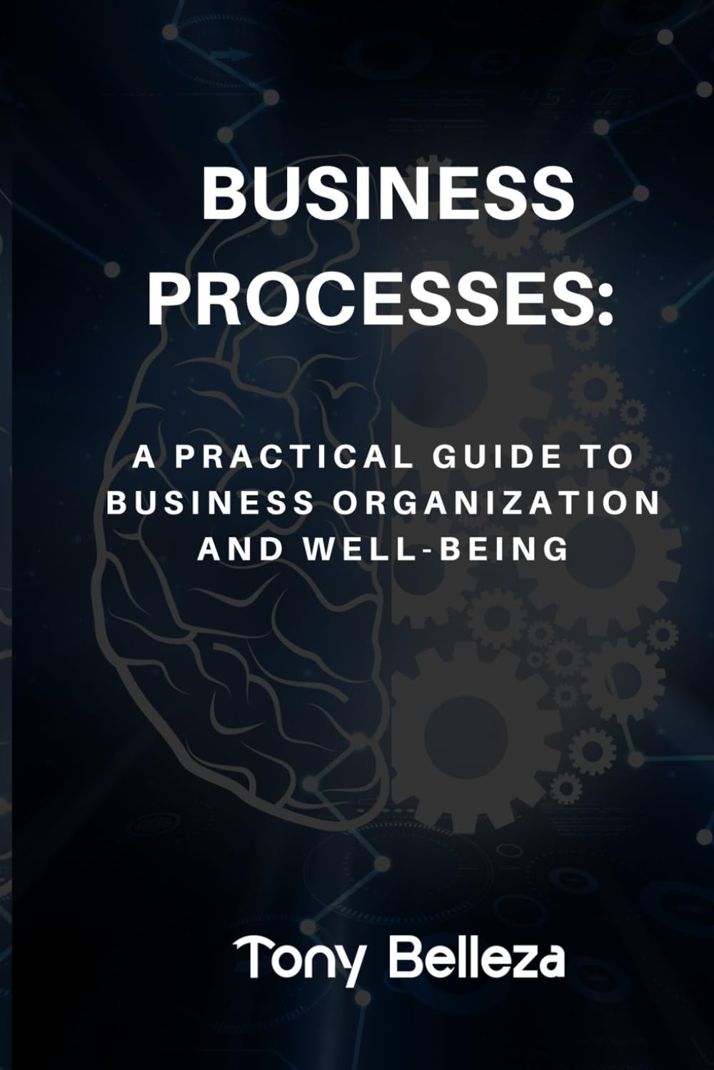 Business Process: A Practical Guide to Business Organization and Well-Being
