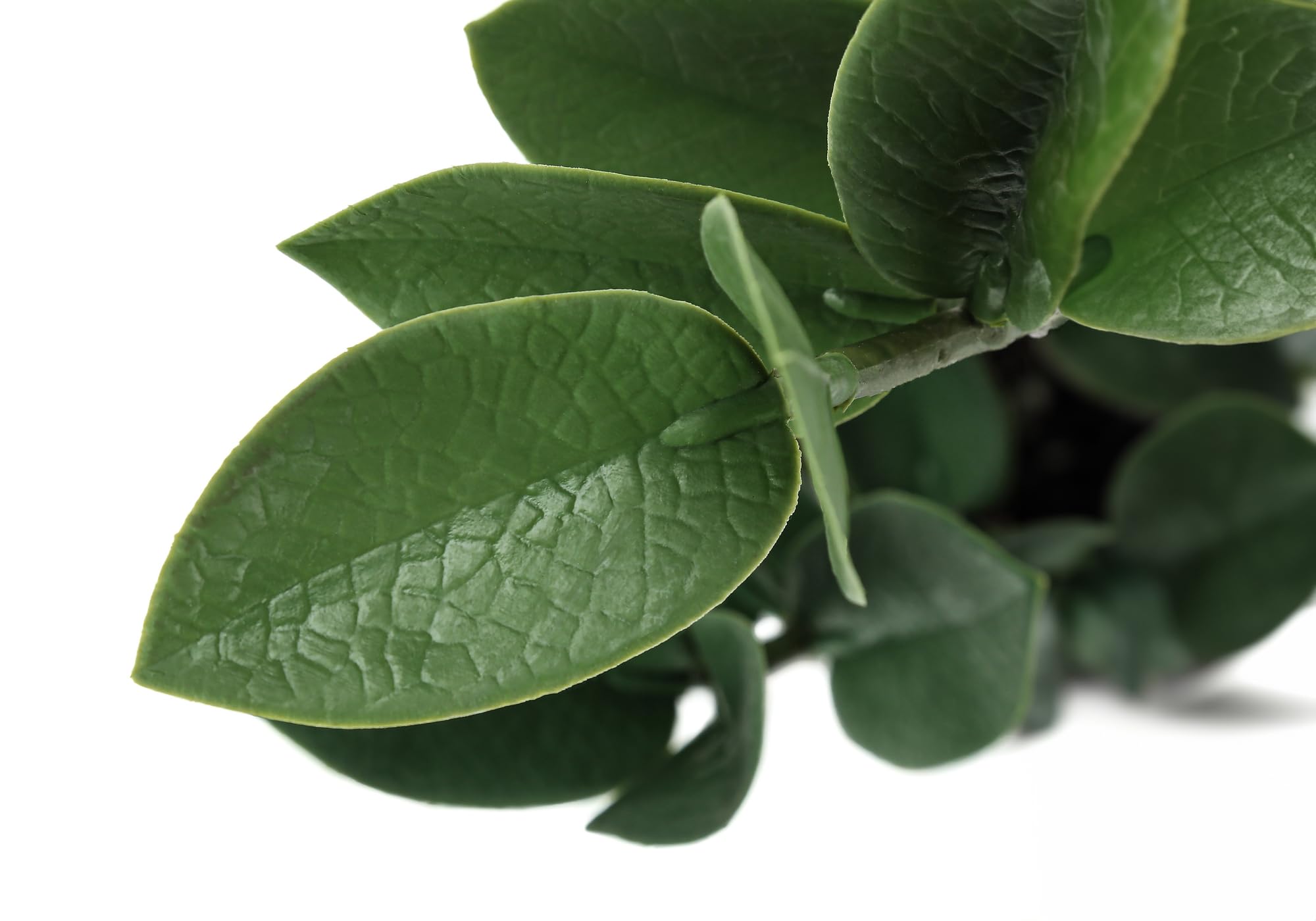 Amazon.com: Monarch Specialties I 9500 Artificial Plant, 20