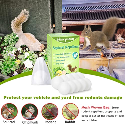 Wanqueen 10 Pack Squirrel Repellent thumb #4