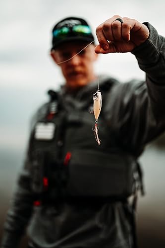 Miniatura 9 de MONSTERBASS Caja de la serie Gold rellena con señuelos y aparejos de pesca de lubina Premier más de 5 cebos con artículos adicionales Excelente kit