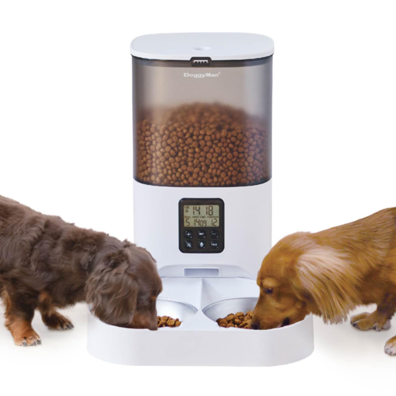 ドギーマン なかよく食べる自動給餌食器 ツイン Amazon | ドギーマン なかよく食べる 自動給餌食器 ツイン