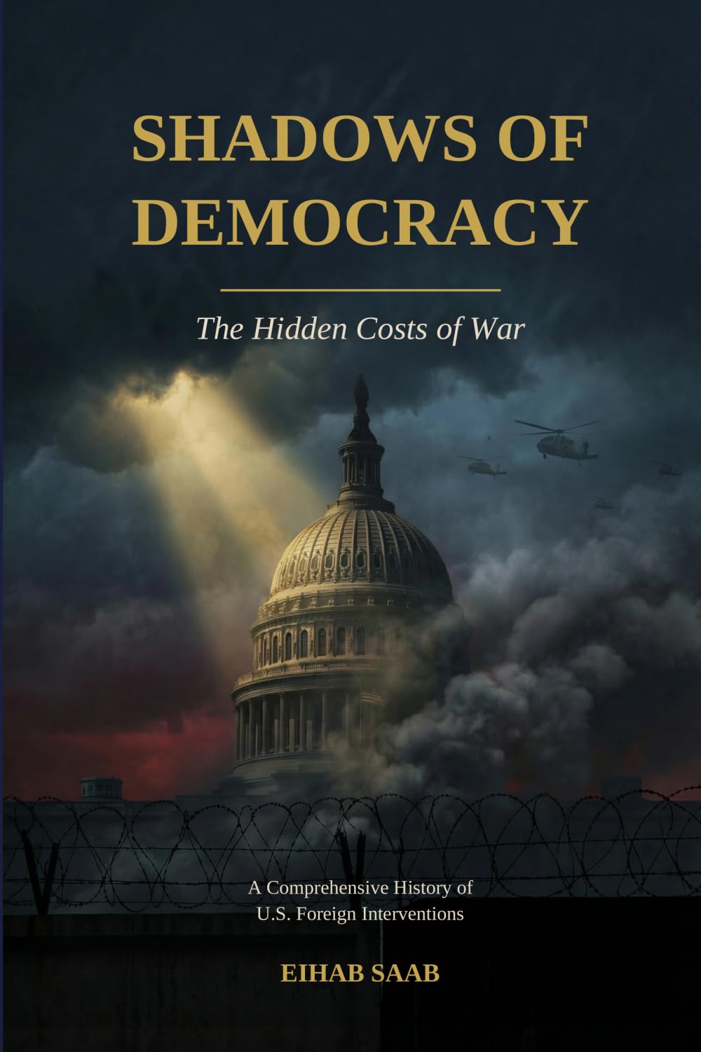 Shadows of Democracy: The Hidden Costs of War
