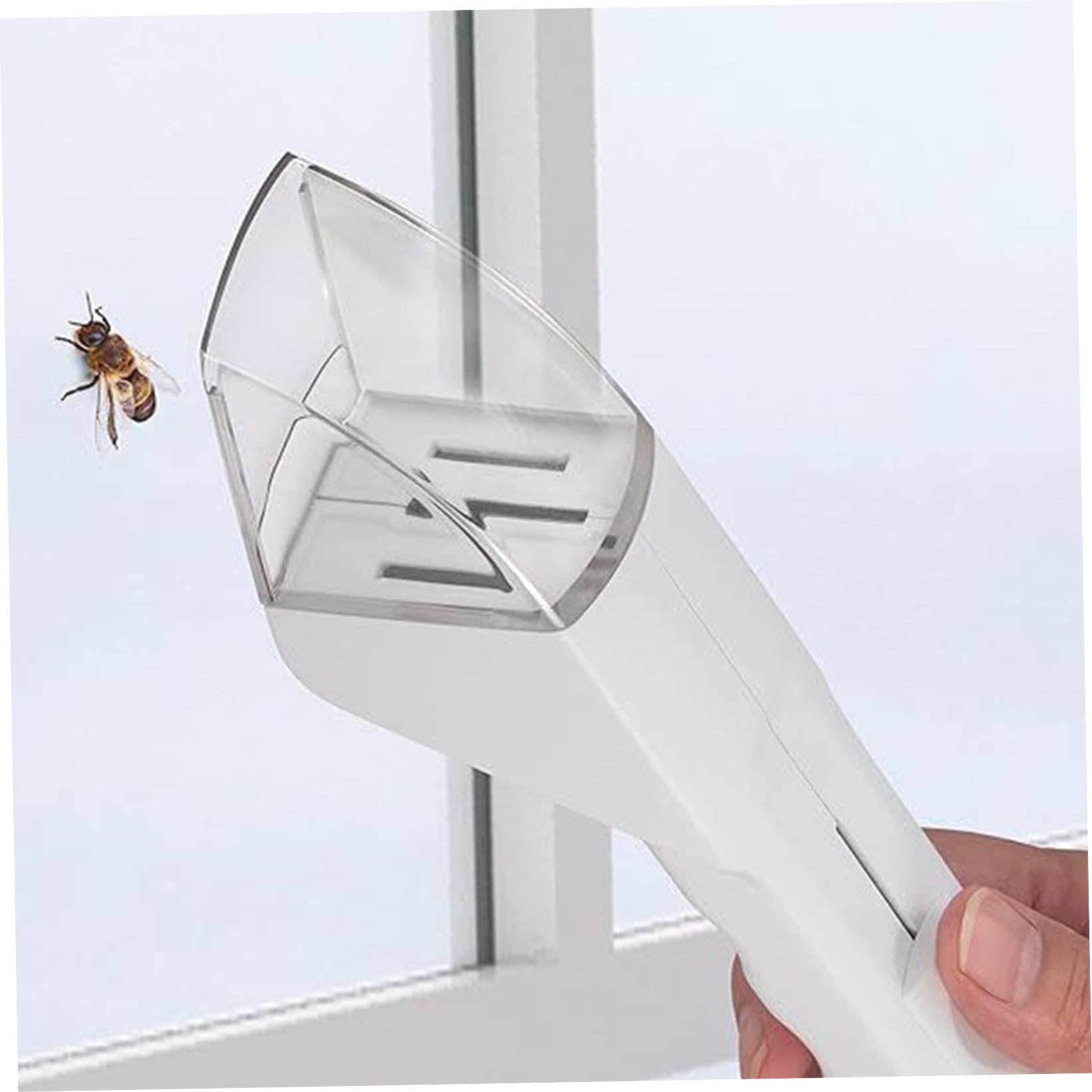 Attrape araignée, Attrape Insectes Pliable, Attrape araignée À Long Manche, Attrape Insectes