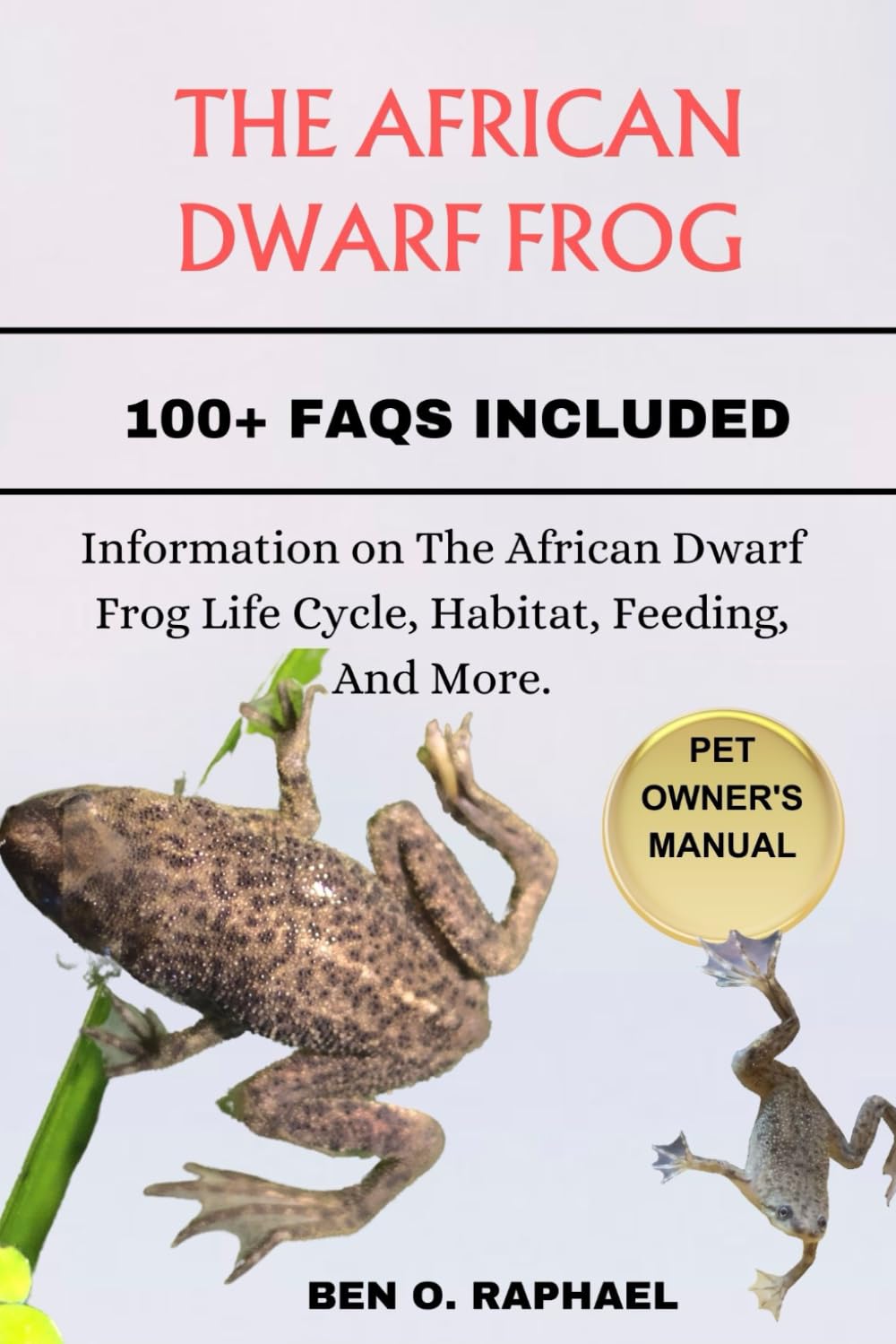 THE AFRICAN DWARF FROG: Information on The African Dwarf Frog Life Cycle, Habitat, Feeding, And More.