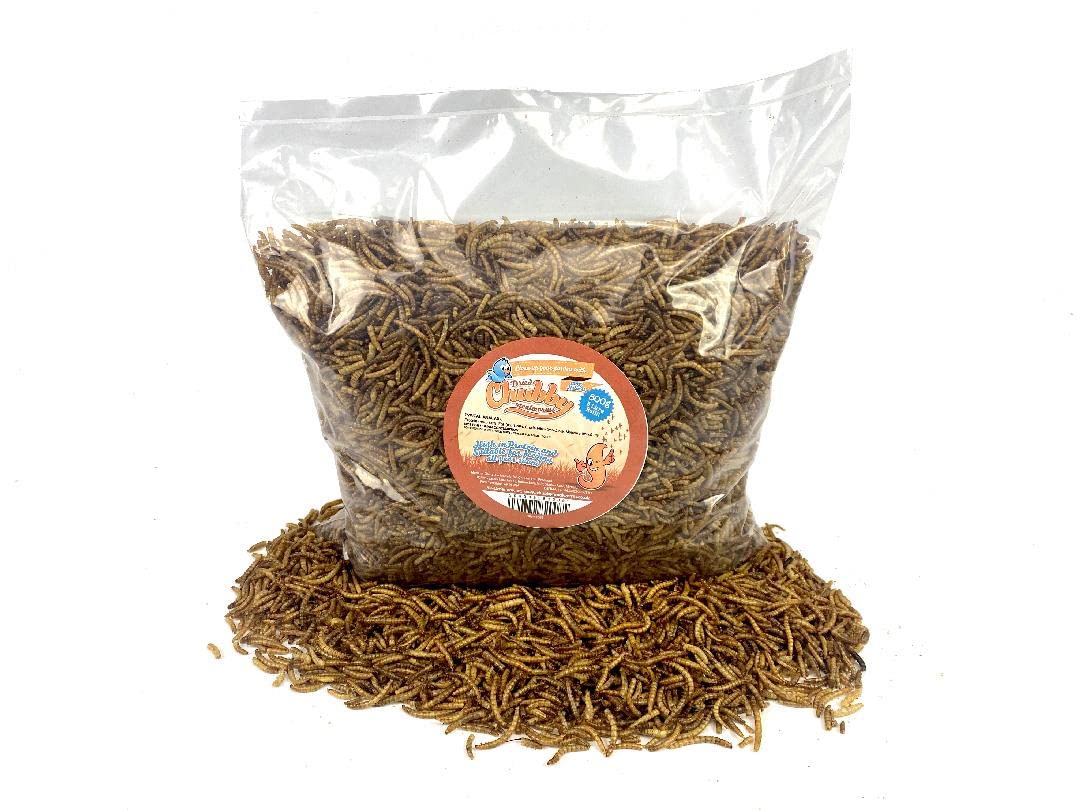 Chubby Mealworms Refill Bag (800g), Dried Mealworms For Wild Birds, Protein Rich Dried Meal Worm, High Energy for Birds, Reptiles, Geckos, Ducks - 2