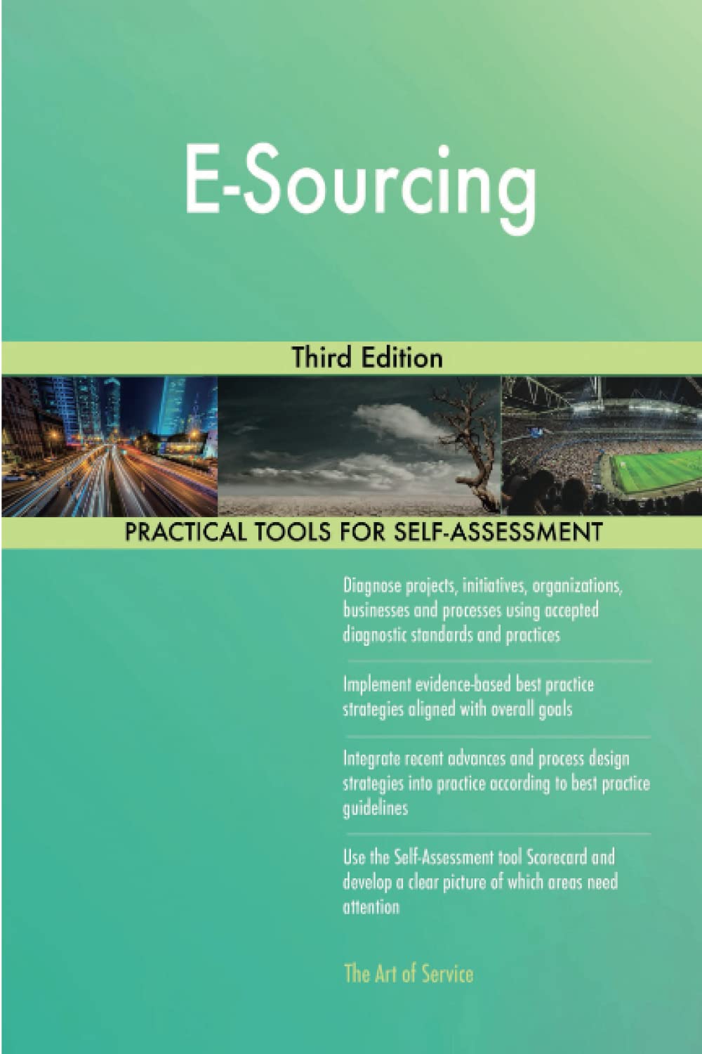 E-Sourcing Third Edition