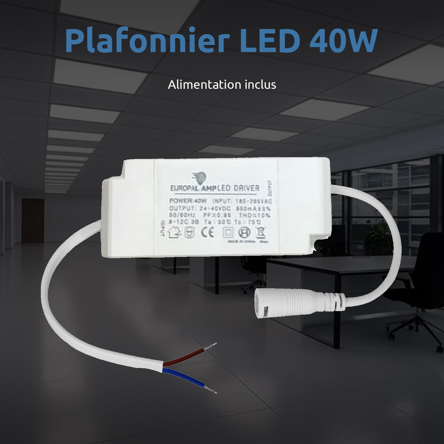 Europalamp - 6 Dalles LED 120x30 cm 40W - Lumière Blanc Froid 6000k 3600Lm Haute Luminosité - Diffuseur Réducteur d'Éblouissement et d'Inconfort - Adaptation aux Faux Plafonds Sans Modification
