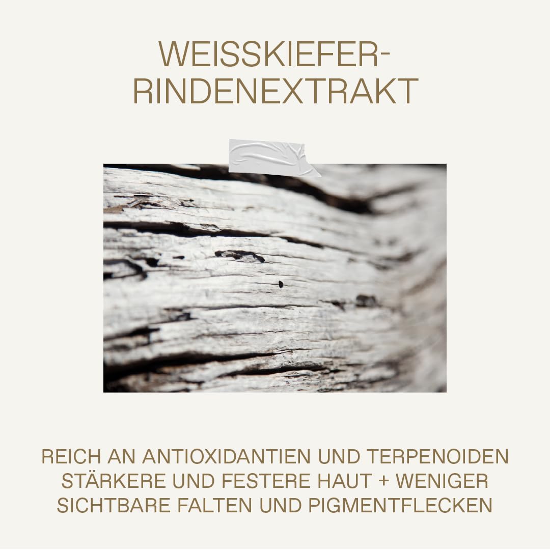 KORRES WHITE PINE Meno Reverse Aufpolsterndes Konzentrat, vegan, 30ml