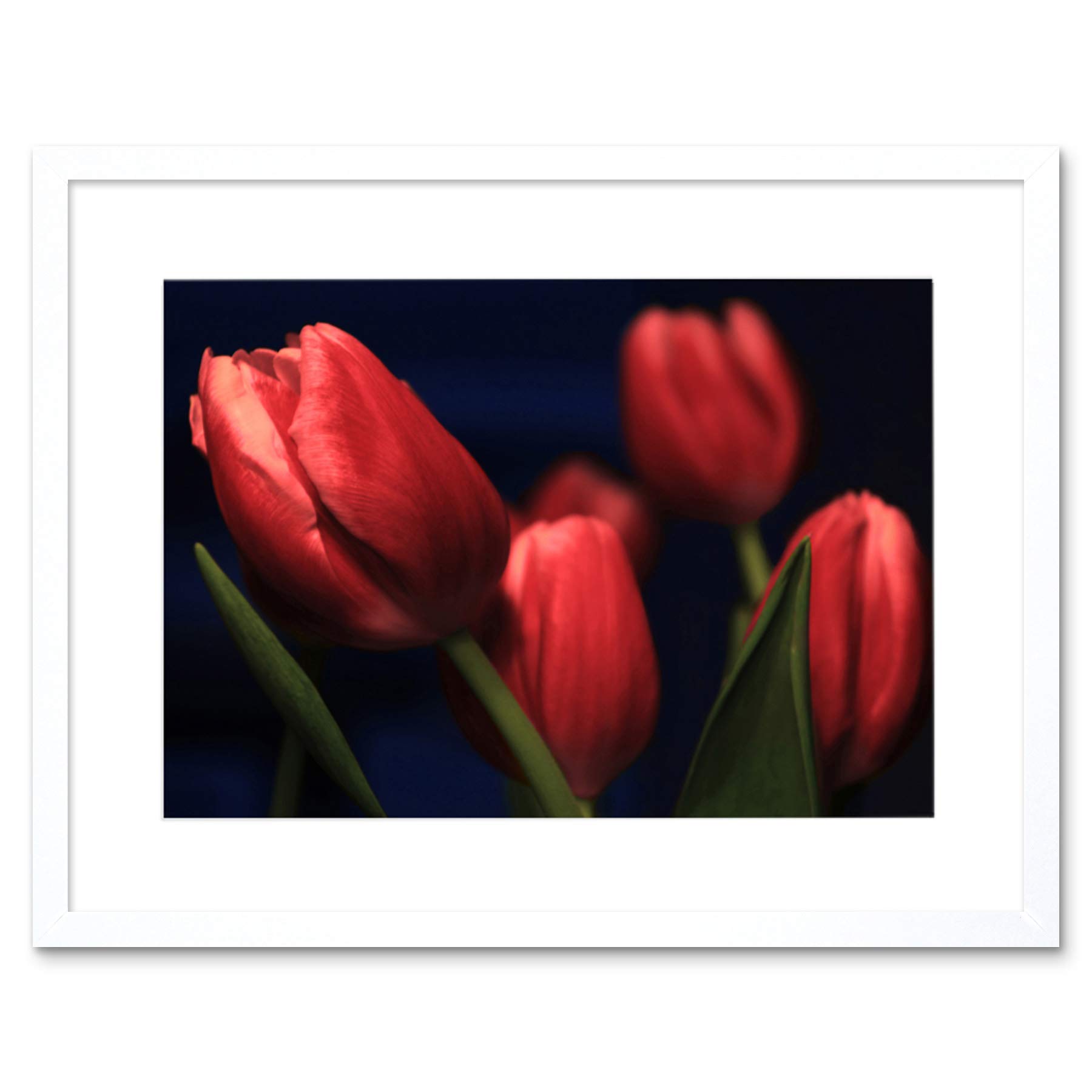 Wee Blue Coo Tulips Red Flowers Bloom Art Framed Wall Art Print