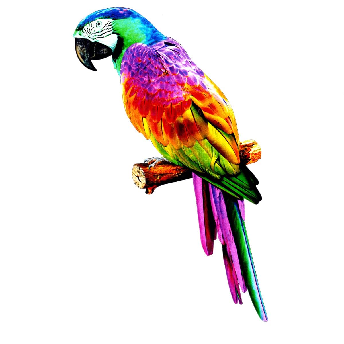 DEARBIRDER Metal Parrot Wall Art Large Outdoor Metal Wall Decor Parrot Sculpture 14.9'' Bright Color Bird Sculpture Hanging for Home Living Room